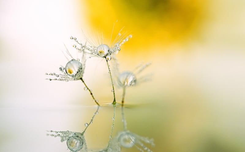 Mind-body balance